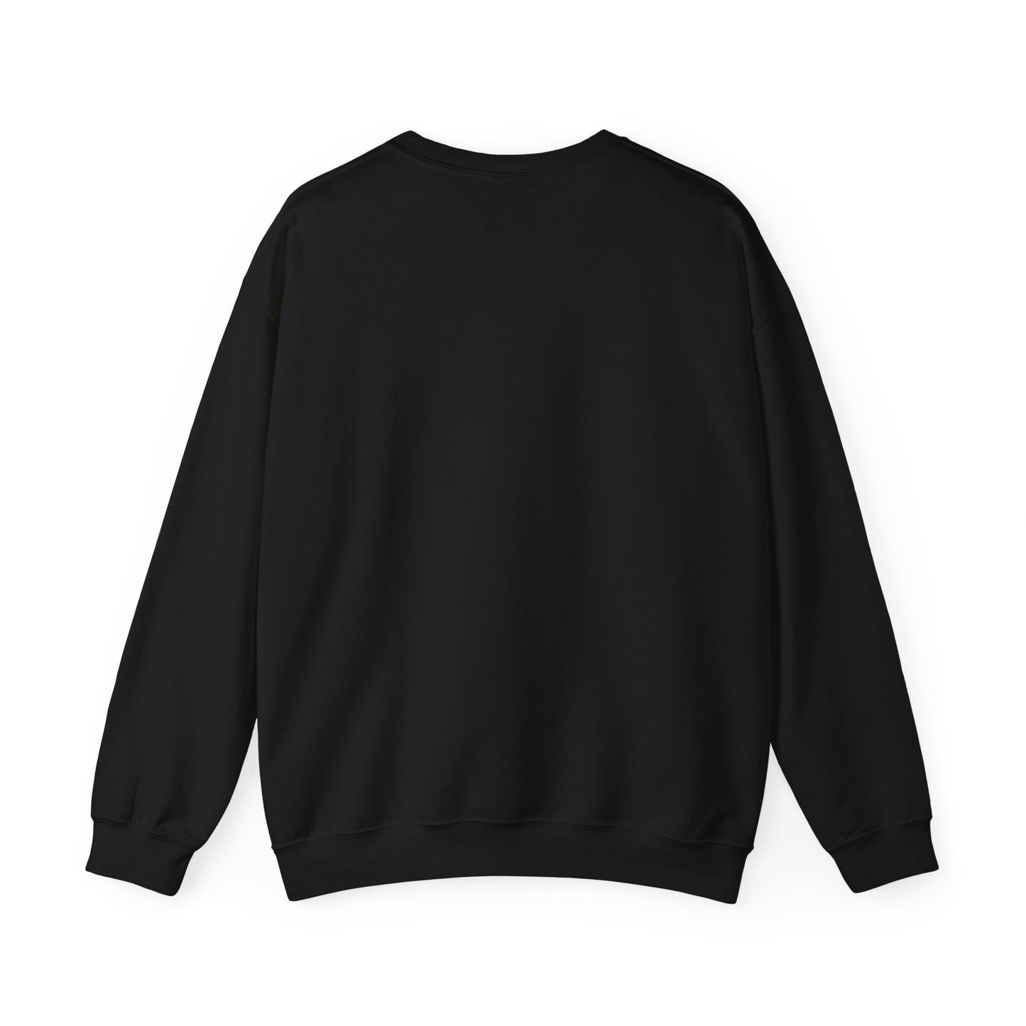 Sweatshirt – Dollar Style