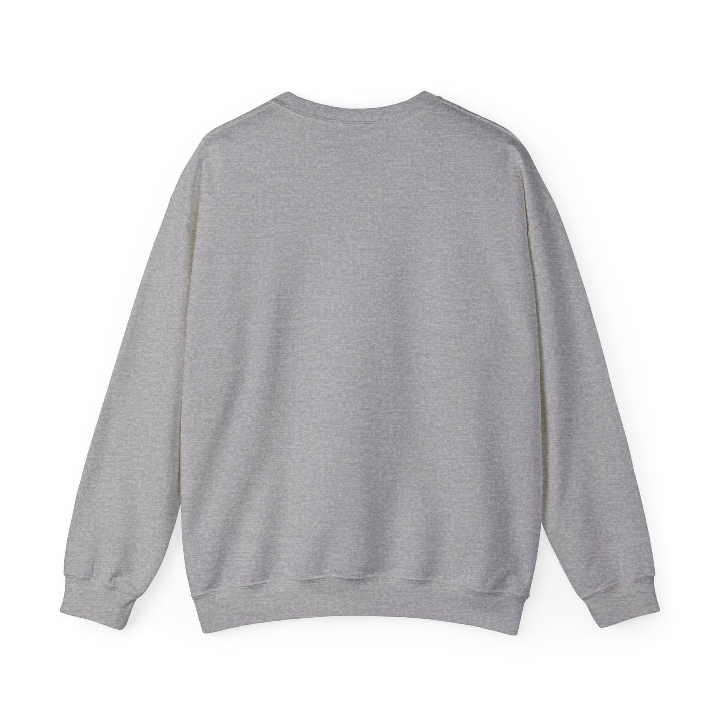 Sweatshirt – Dollar Style